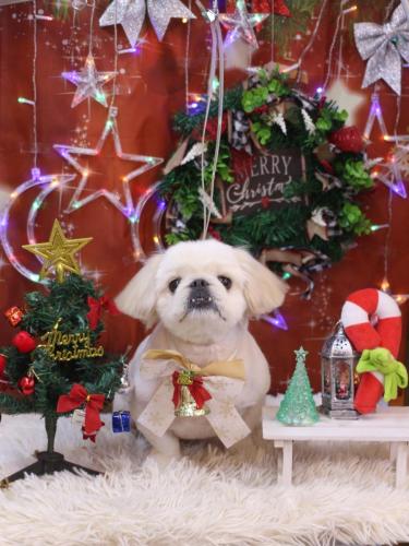 20231222エイトくん